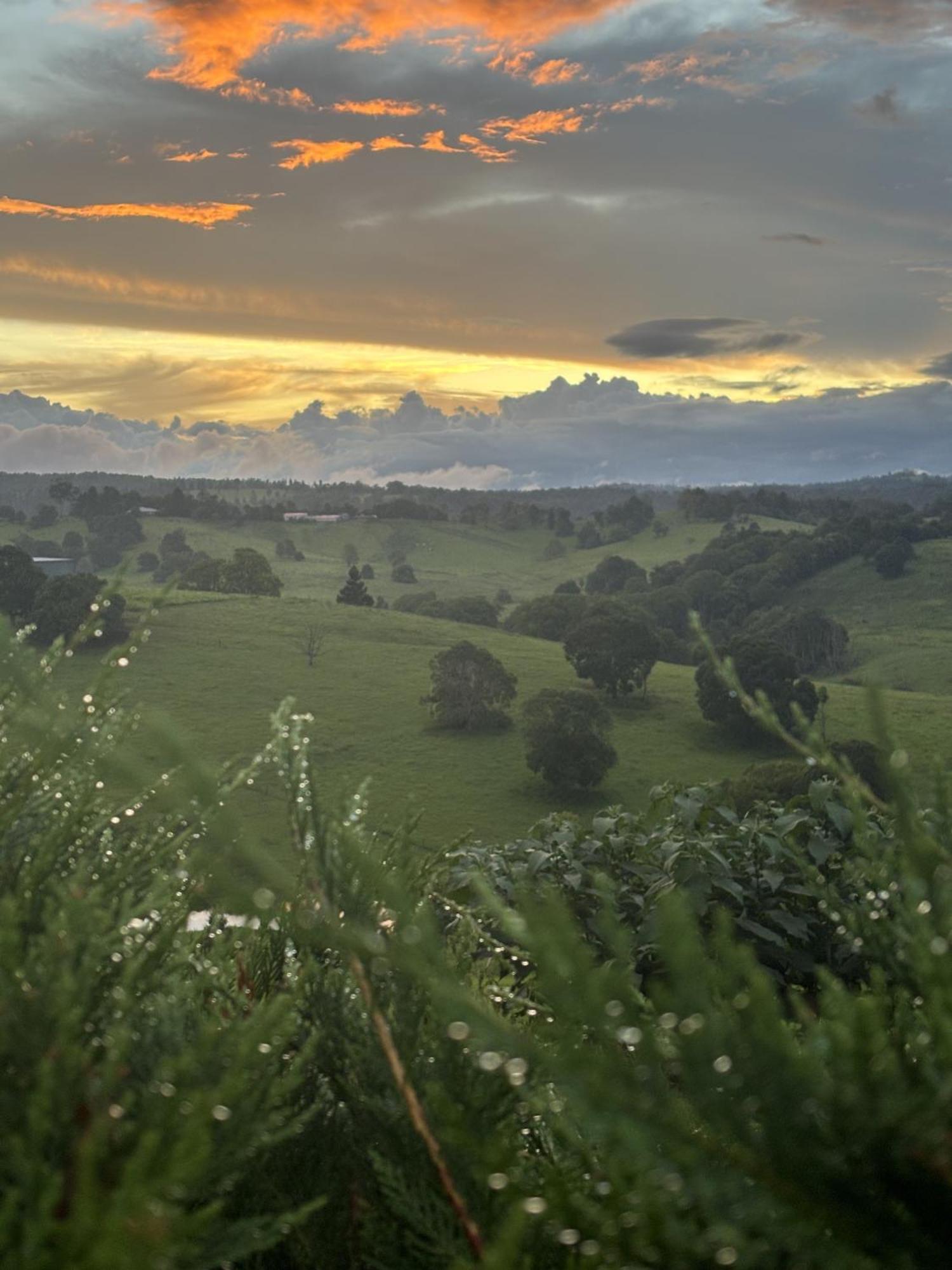 Ten Acres Beechmont Luaran gambar