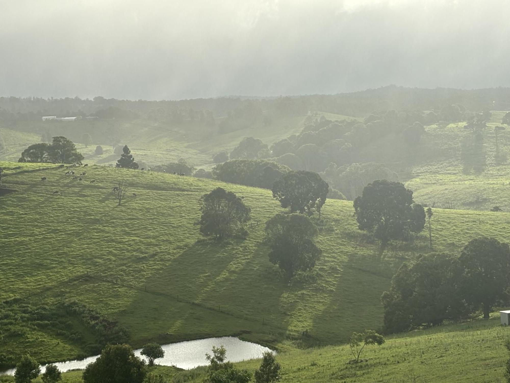 Ten Acres Beechmont Luaran gambar