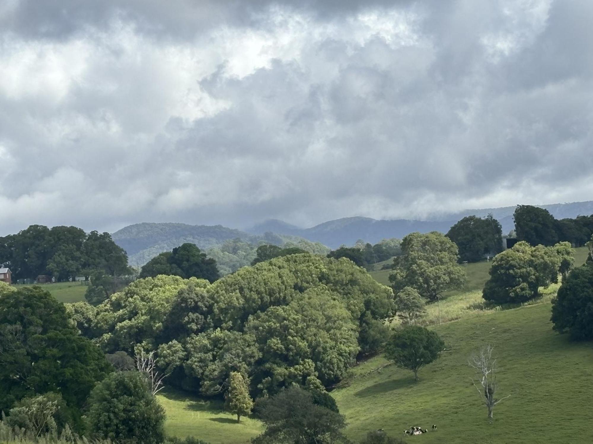 Ten Acres Beechmont Luaran gambar
