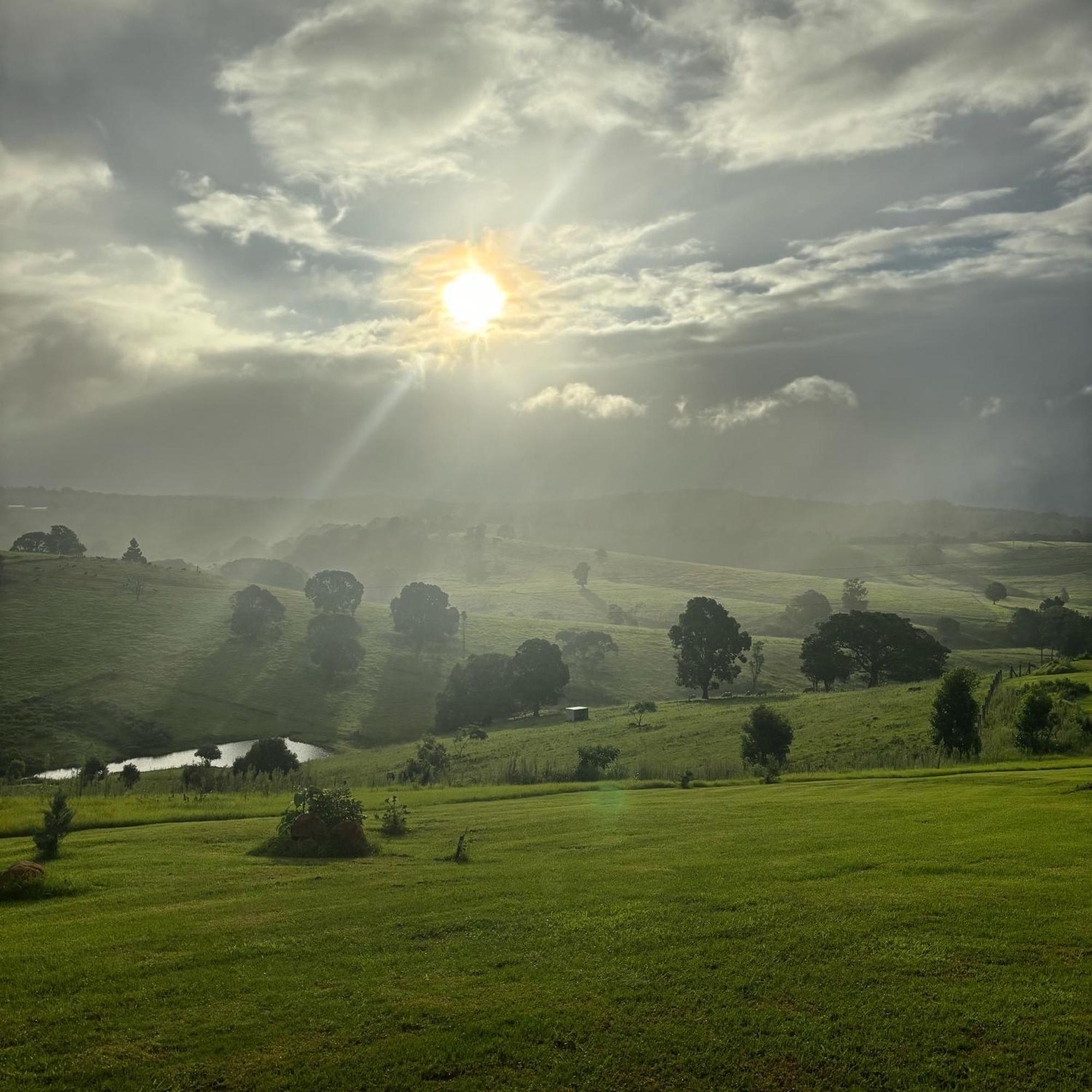 Ten Acres Beechmont Luaran gambar